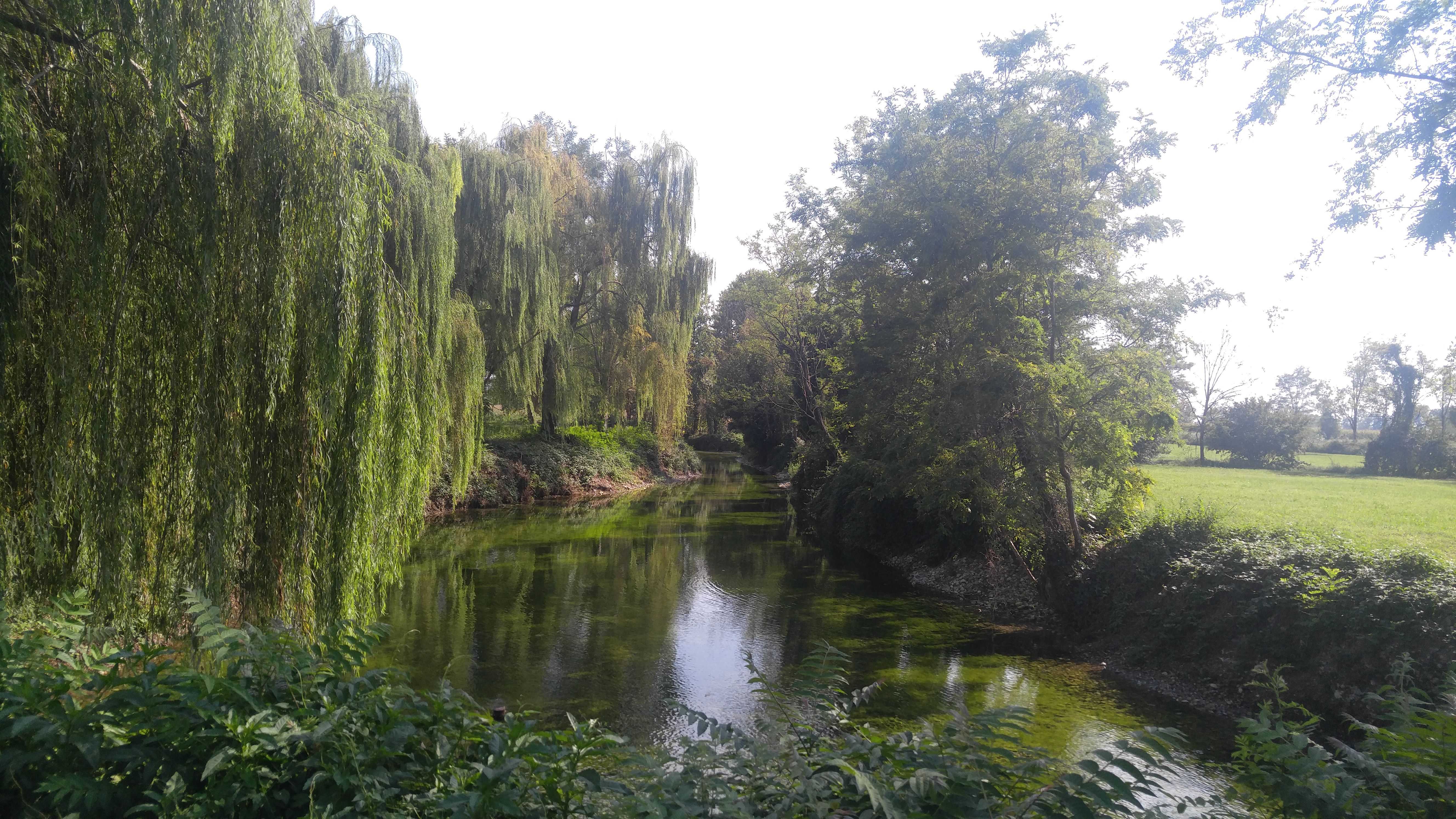 20160902_161730.jpg