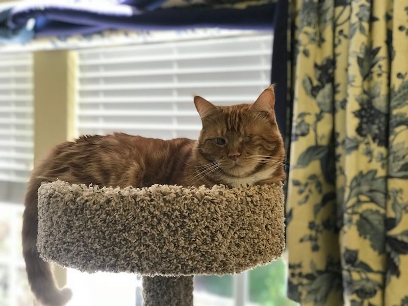 Photo May 20, 14 46 40.jpg