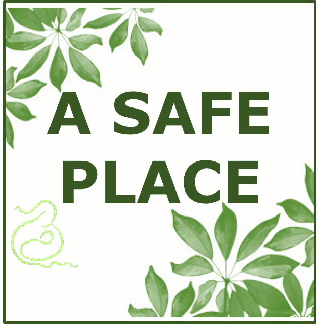 Keep in safe place. Safe place. Safe place logo. Safe place перевод. Safe place PNG.