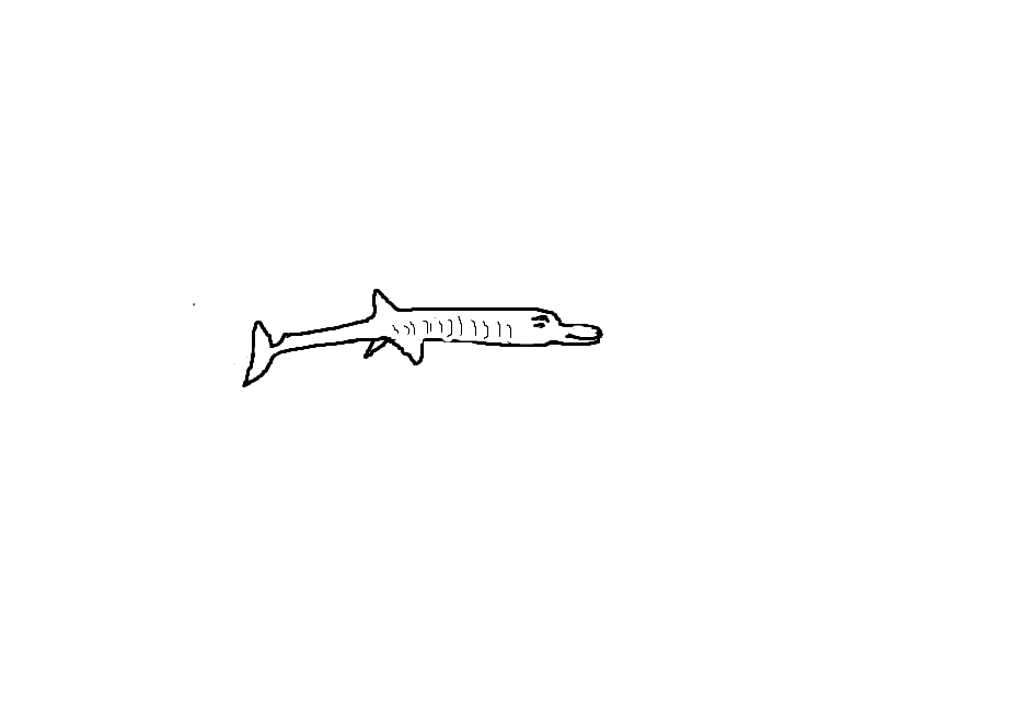 bulimic dolphin.png