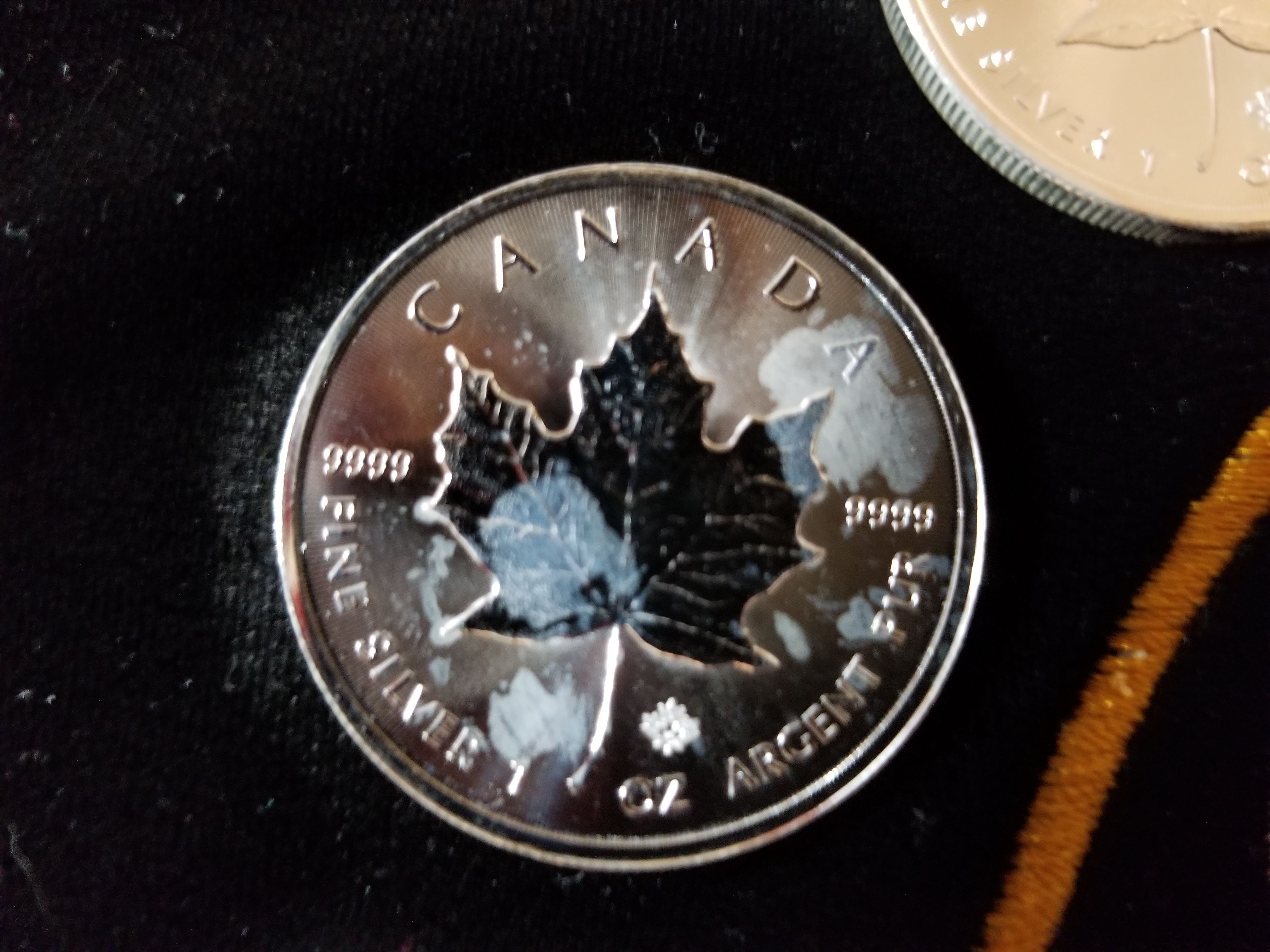 20171013_162452.jpg
