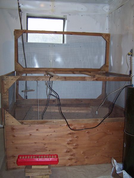 Brooder enclosure crop May 2018.jpg