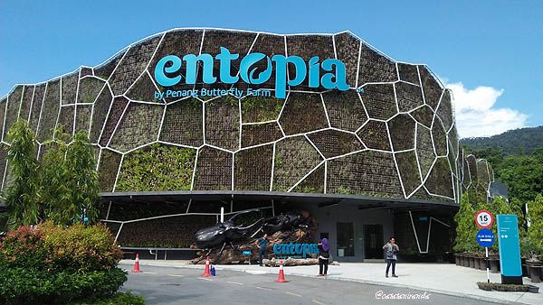 entopia copy.jpg