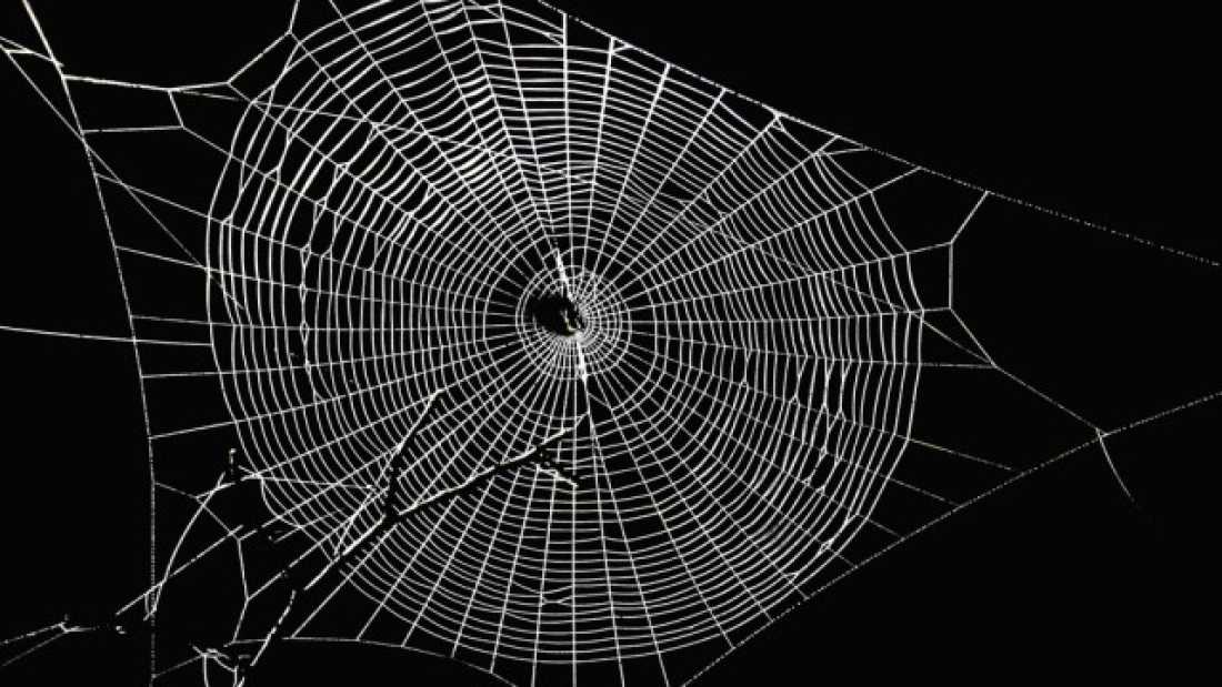 extra_large-1464363453-83-spiders-create-graphene-infused-super-webs.jpg