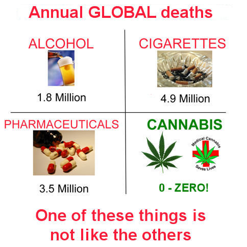 Annual Global Deaths.jpg