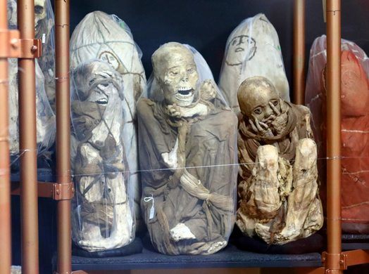 mummies-1.JPG(2).jpg