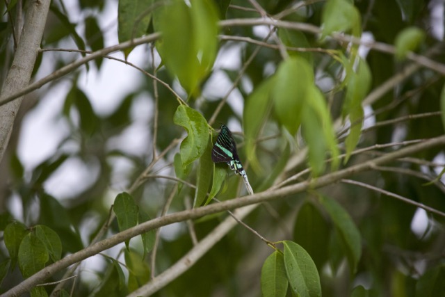 2U0B3834_m.jpg