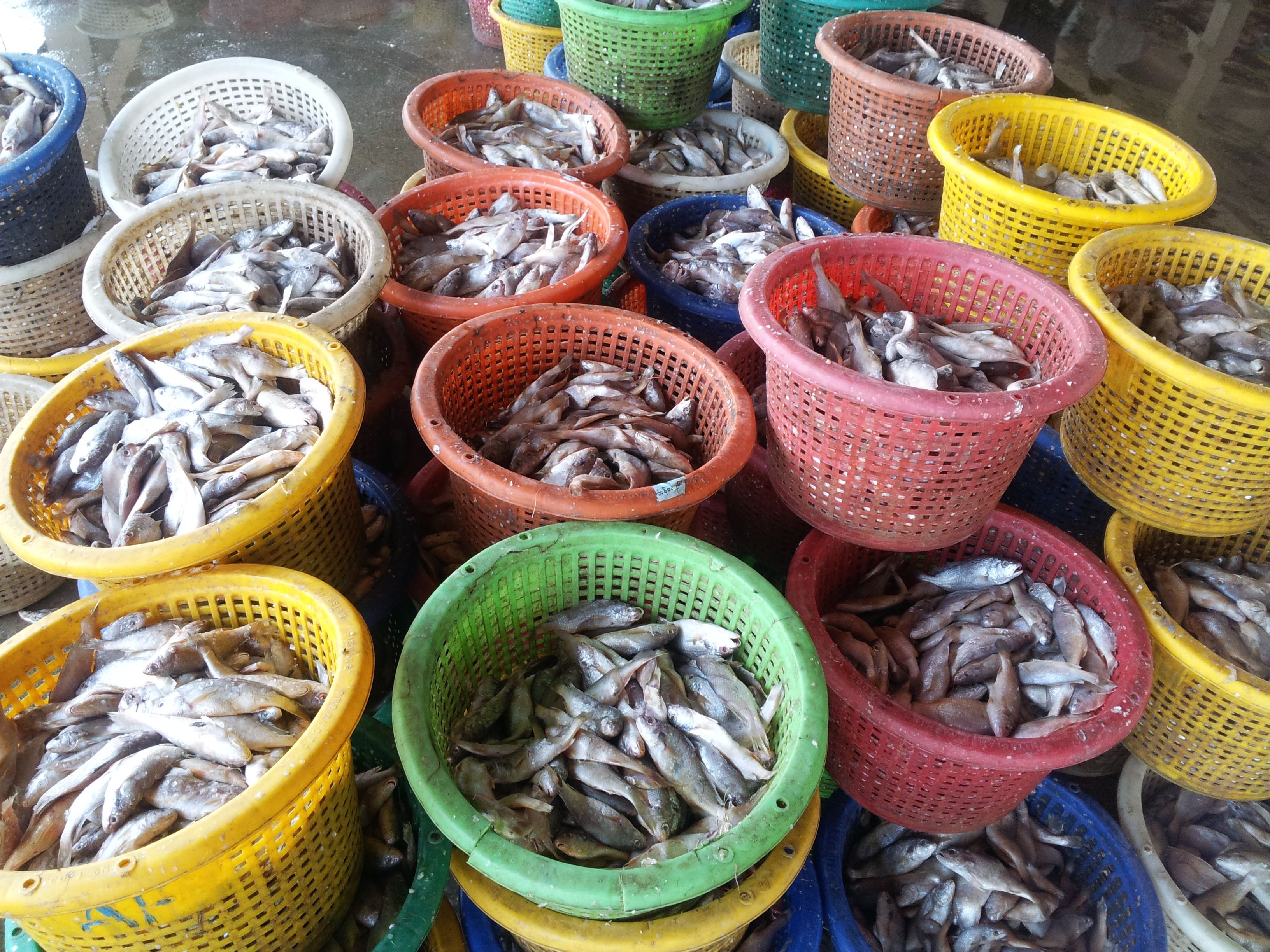 naung tan fishmarket fish baskets.jpg