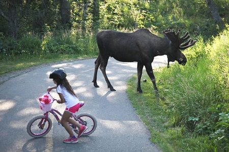 alaska7.jpg