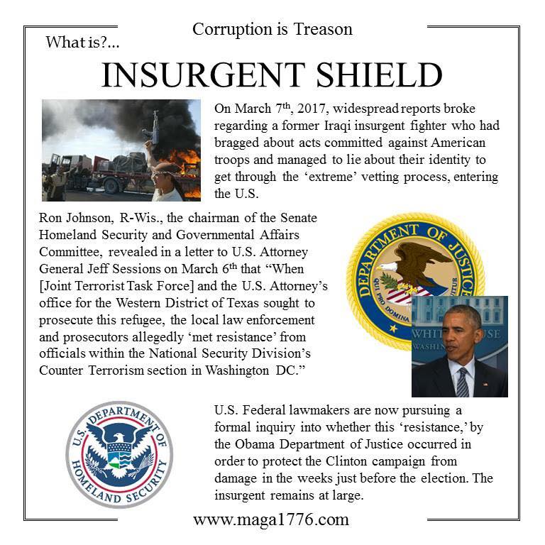 Insurgent Shield.jpg