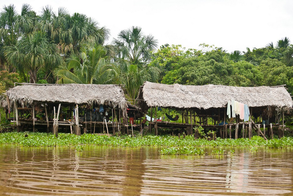 Historia y costumbres de los Indígenas Warao (Venezuela) — Steemit