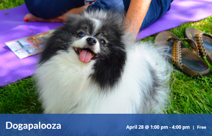 Dogapalooza – City of Cookeville  Tennessee.png