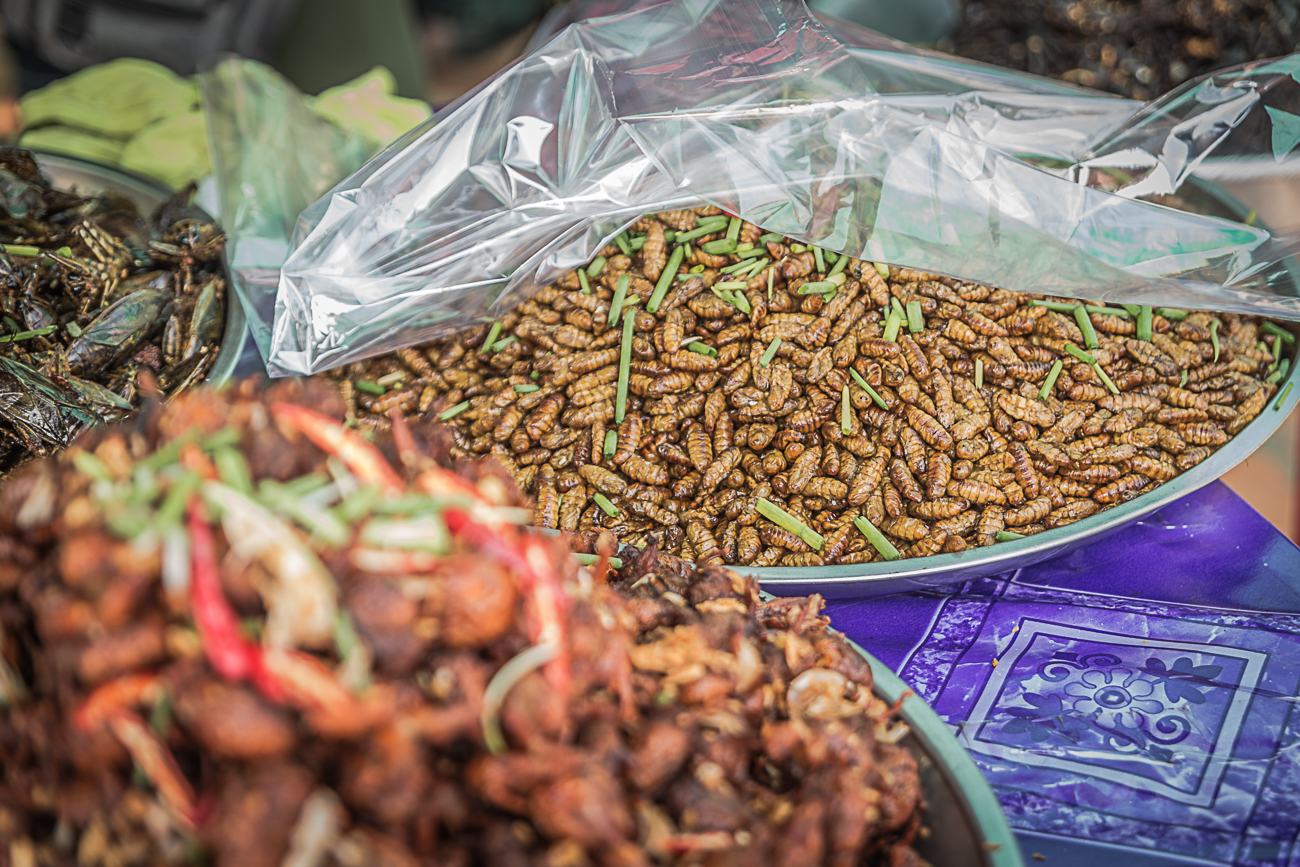 otw kratie market worms.jpg