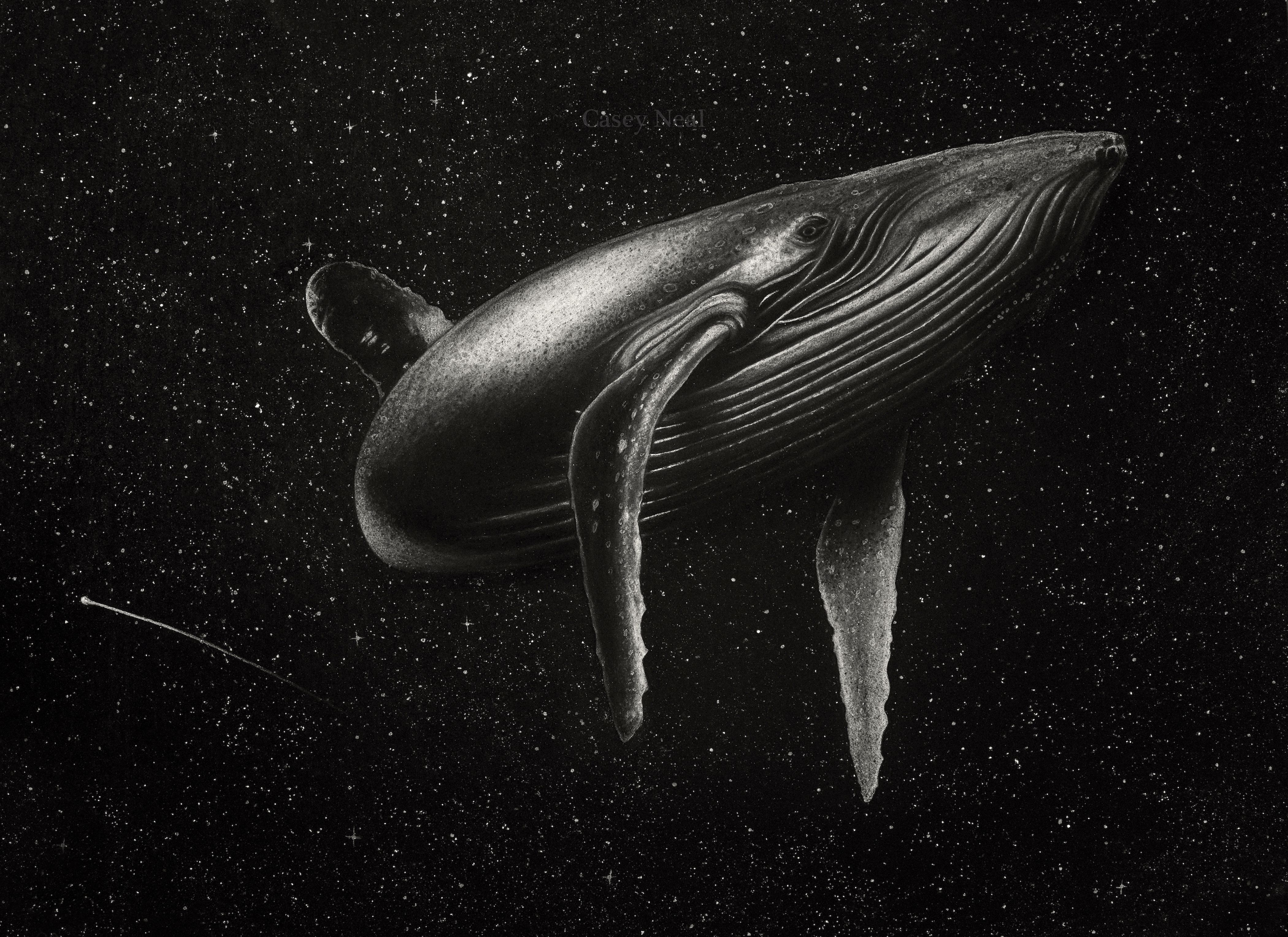 Whale in Space - Drawing by Casey Neal copy.jpg