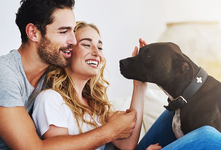 домашние животные с хозяевами. девушка с собакой. домашние животные. кошка и хозяин. человек обнимает с боку.