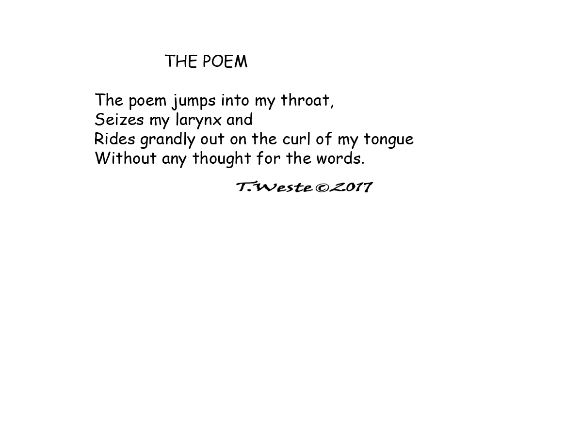 THE POEM.png
