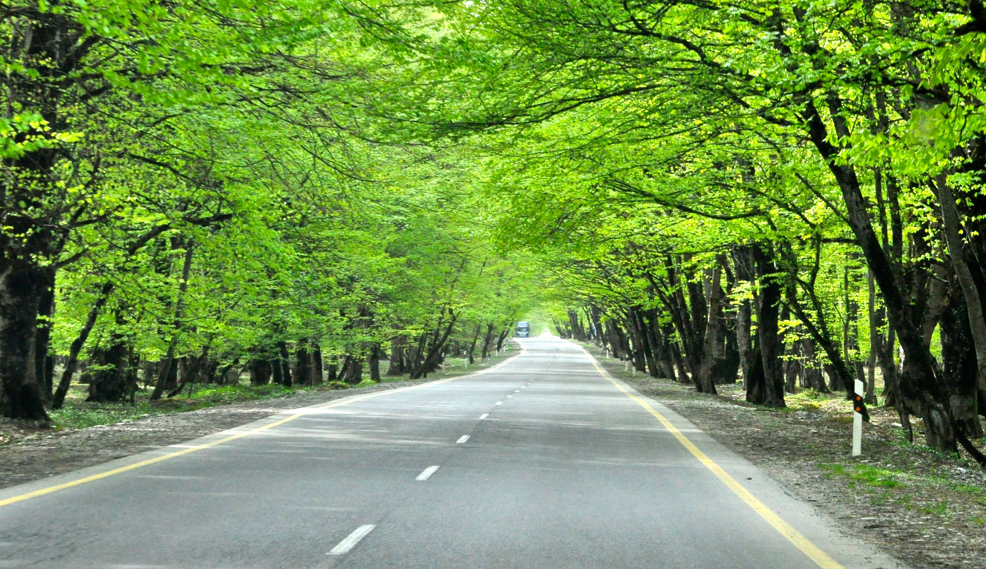 Ismayilli-Qebele_yolu.JPG