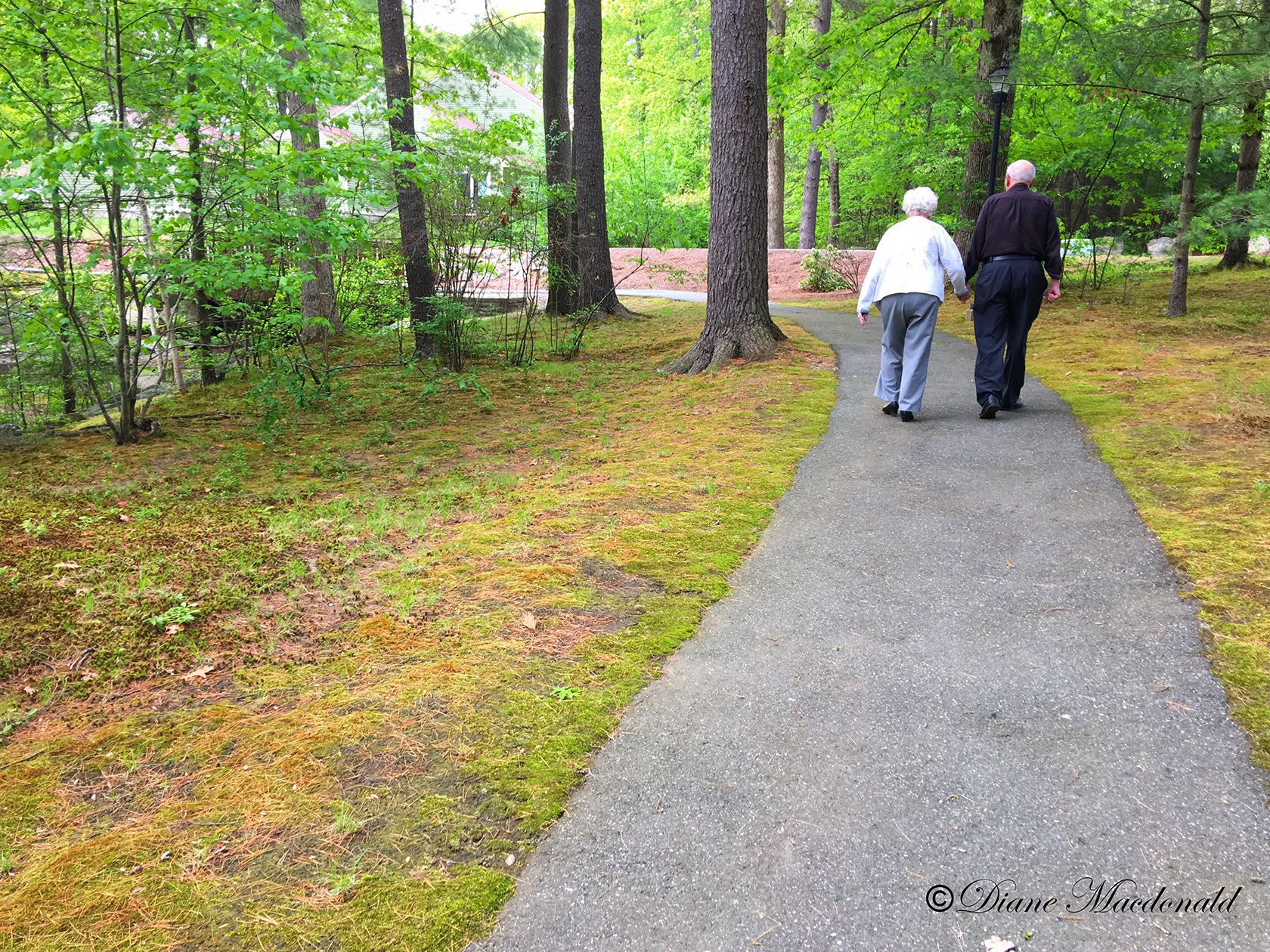 Senior Couple Hilding Hands Walking.jpg