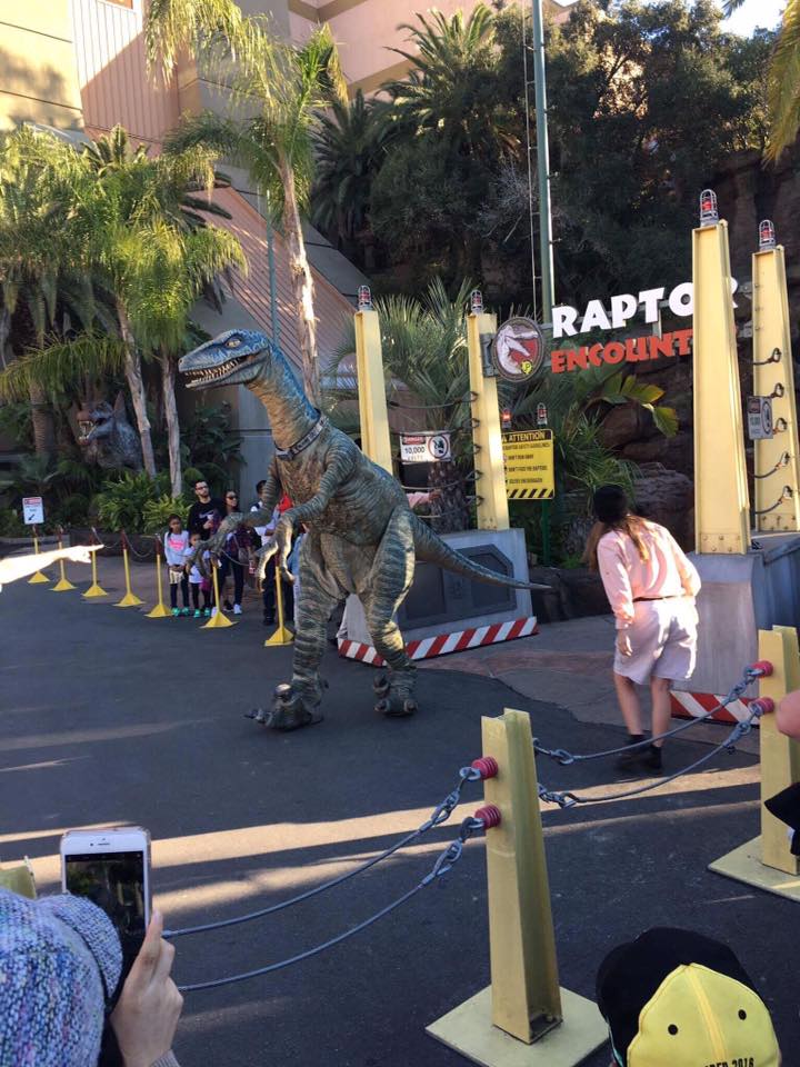 Raptor Dinosaur Encounter At Universal Studios Hollywood - Our Photo —  Steemit