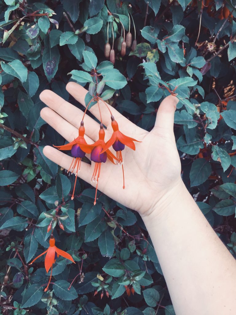 hand-holding-flowers-768x1024.jpg