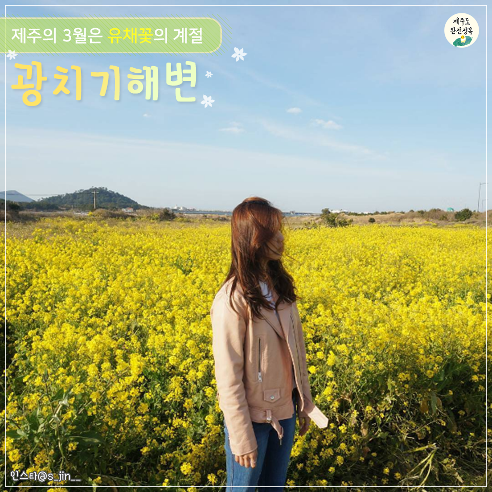 유채꽃명소-2.png