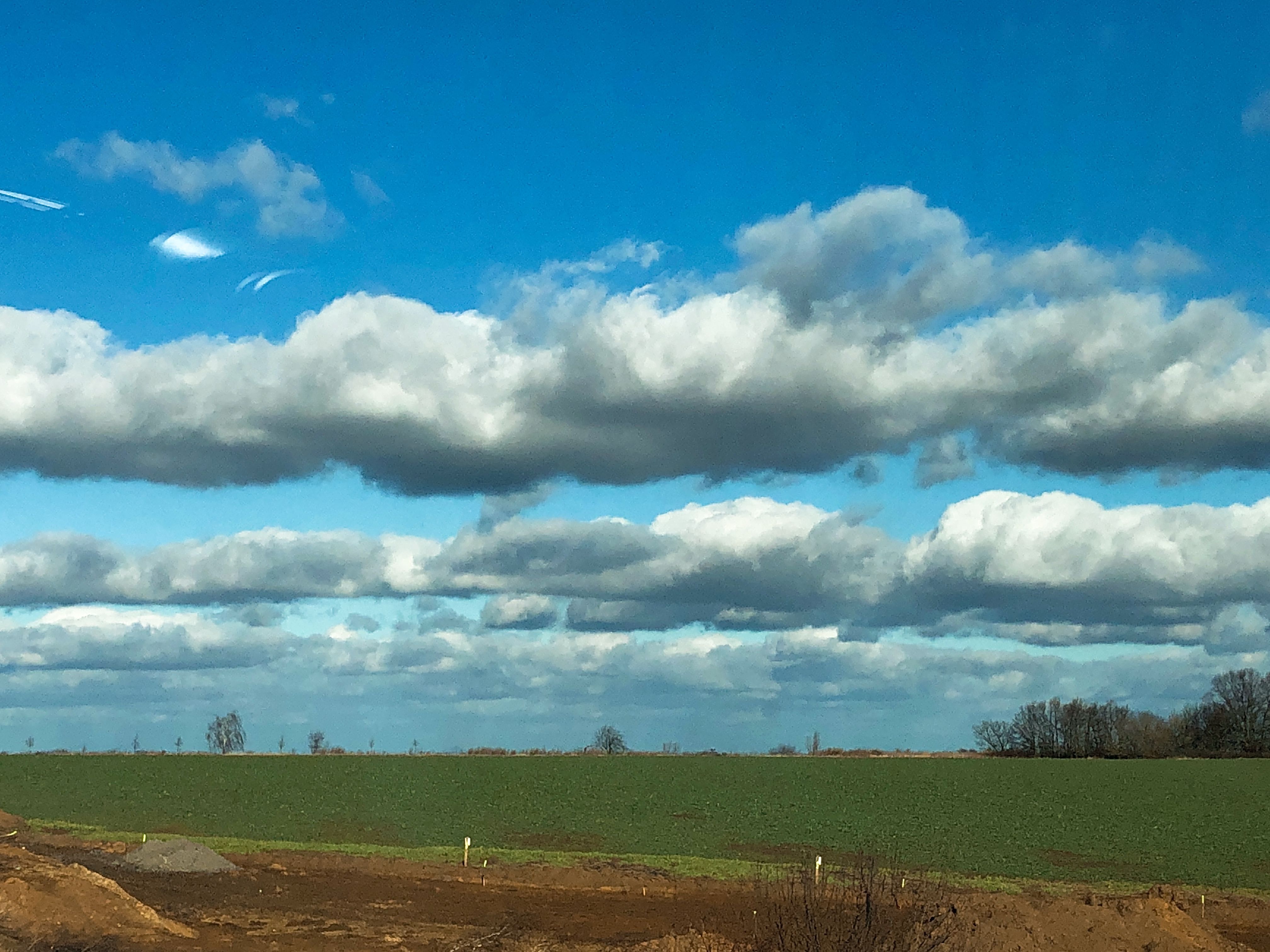 8B81C053-F7A7-42FF-9890-0DD02BA754A1.jpeg