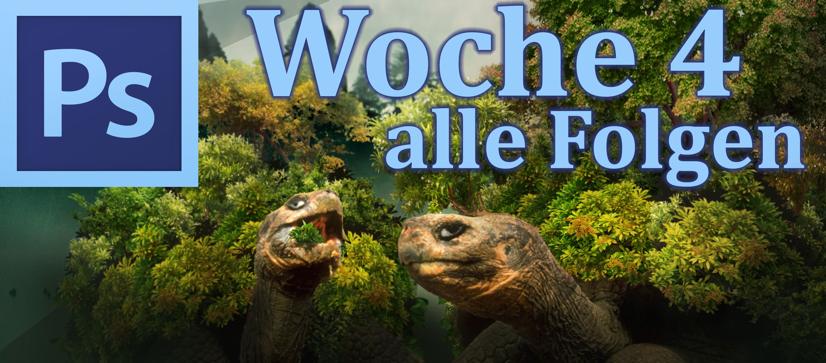 Woche 4 alle.jpg