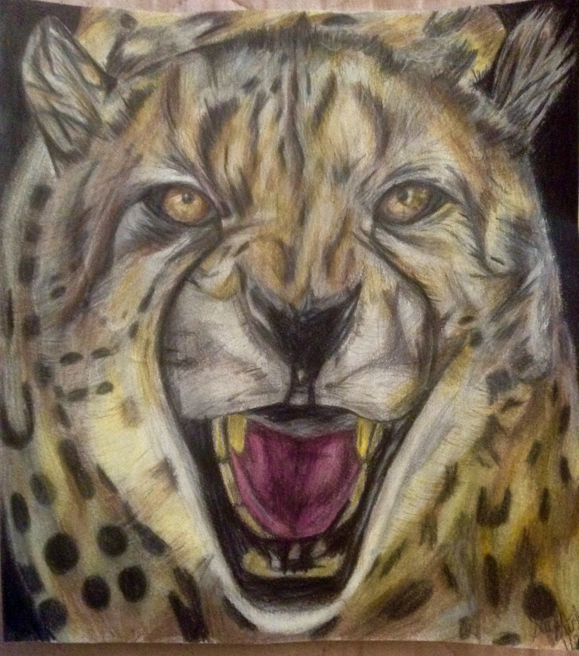 Amazon.com: Born To Run, Cheetah Cub Pencil Drawing Realistic Wildlife  Illustration by Peter Williams, Gallery-Wrapped Canvas PrintImagekind Wall  Decor | 12x11