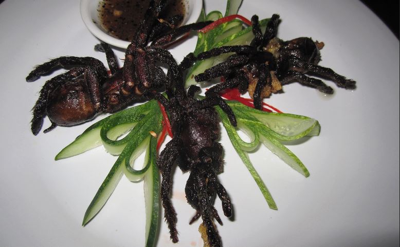 Fried-tarantulas.jpg