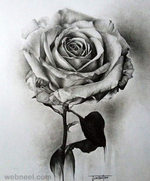 Happy Rose Day – nileshkumar143
