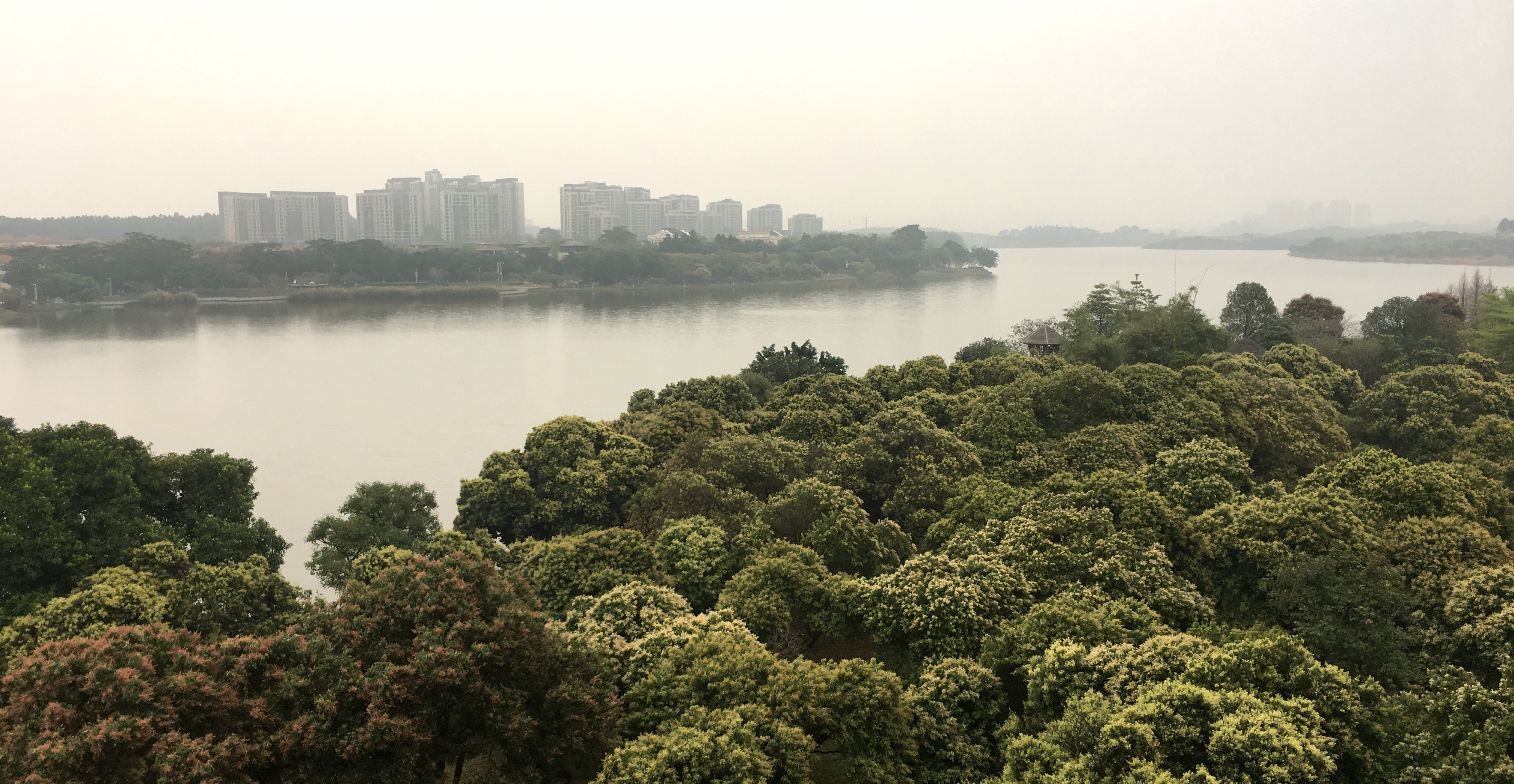 china-dongguan.png