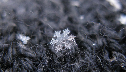 Snowflakes-by-Russian-photographer-Alexey-kljatov-1.jpg
