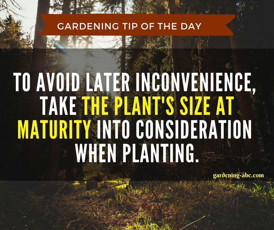 gardening tips 8.jpg