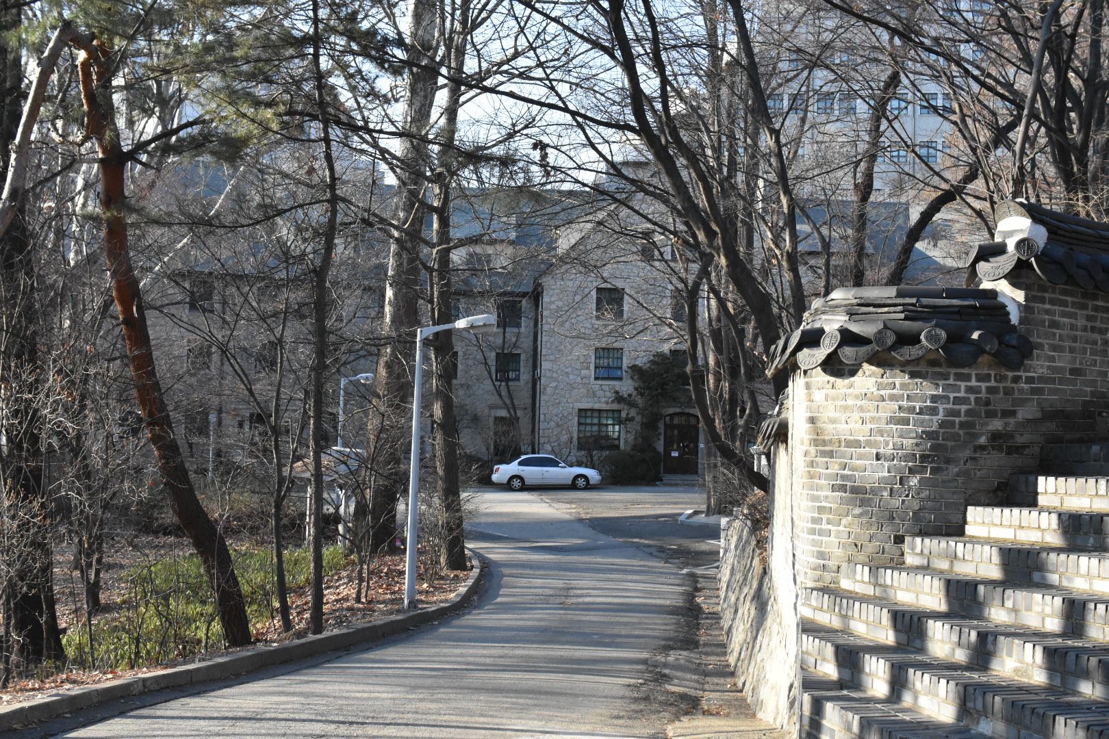 DSC_1043.JPG