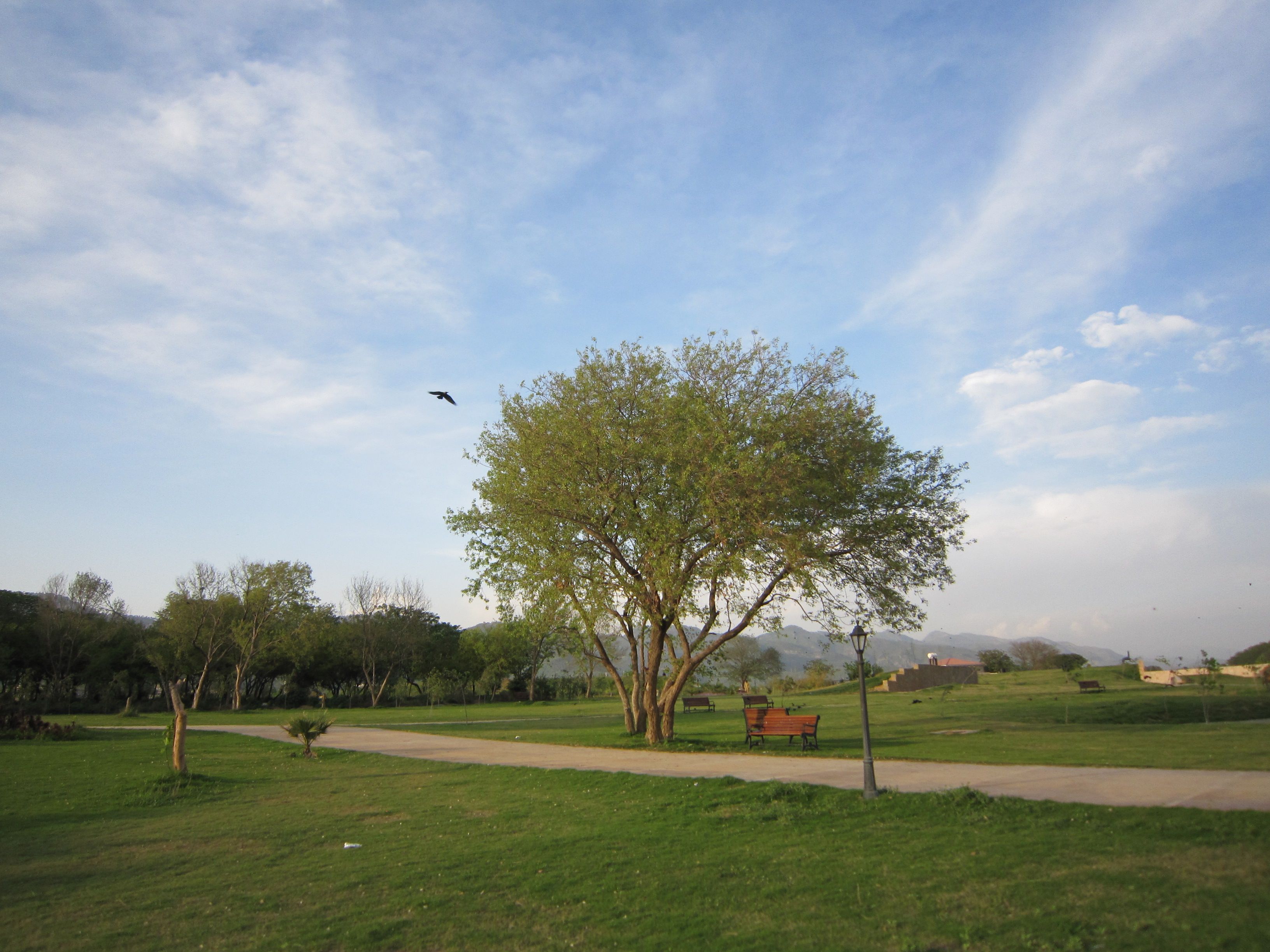 2011--4-24公园 (26).jpg