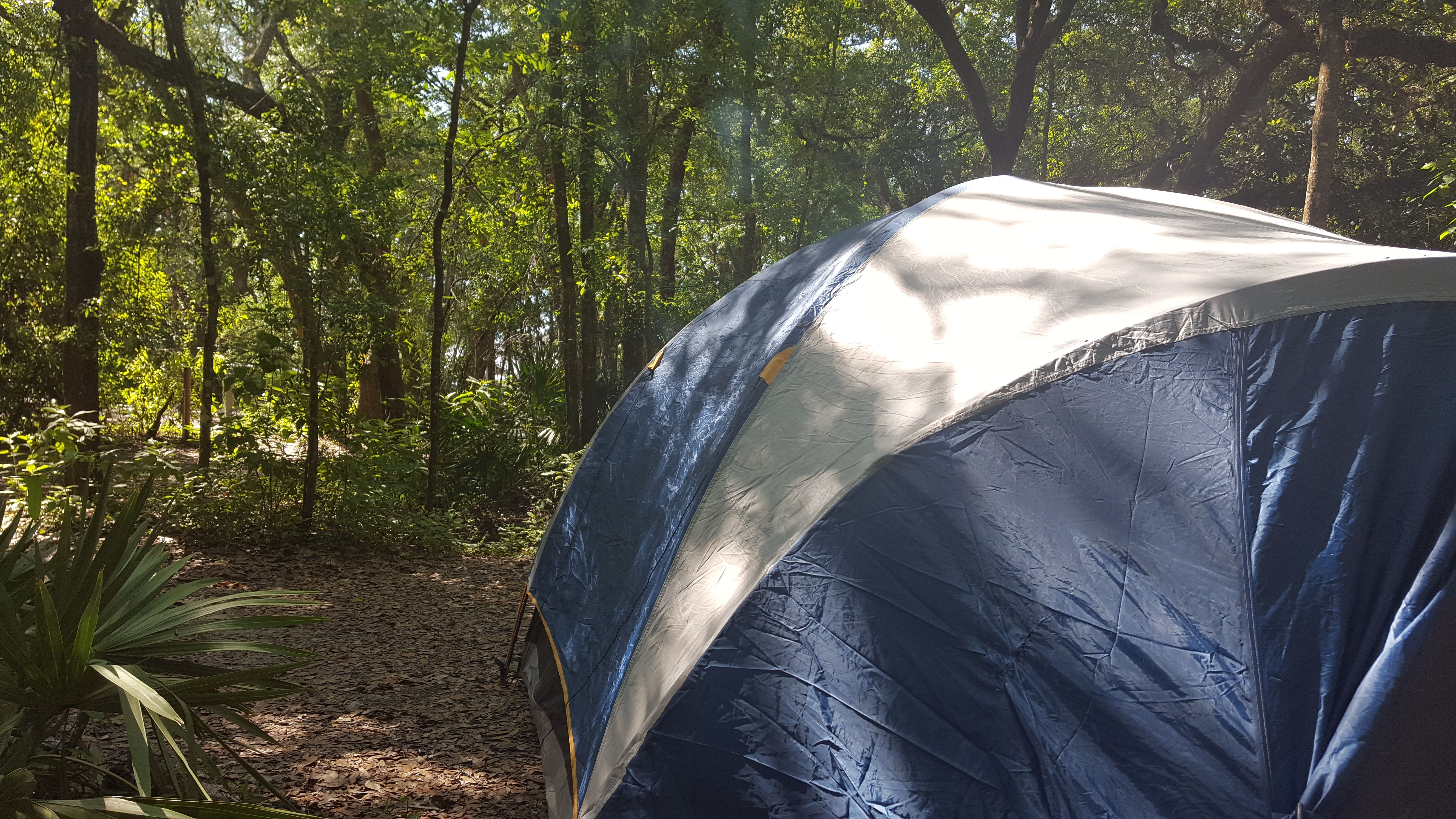 20180509_103941[1].jpg