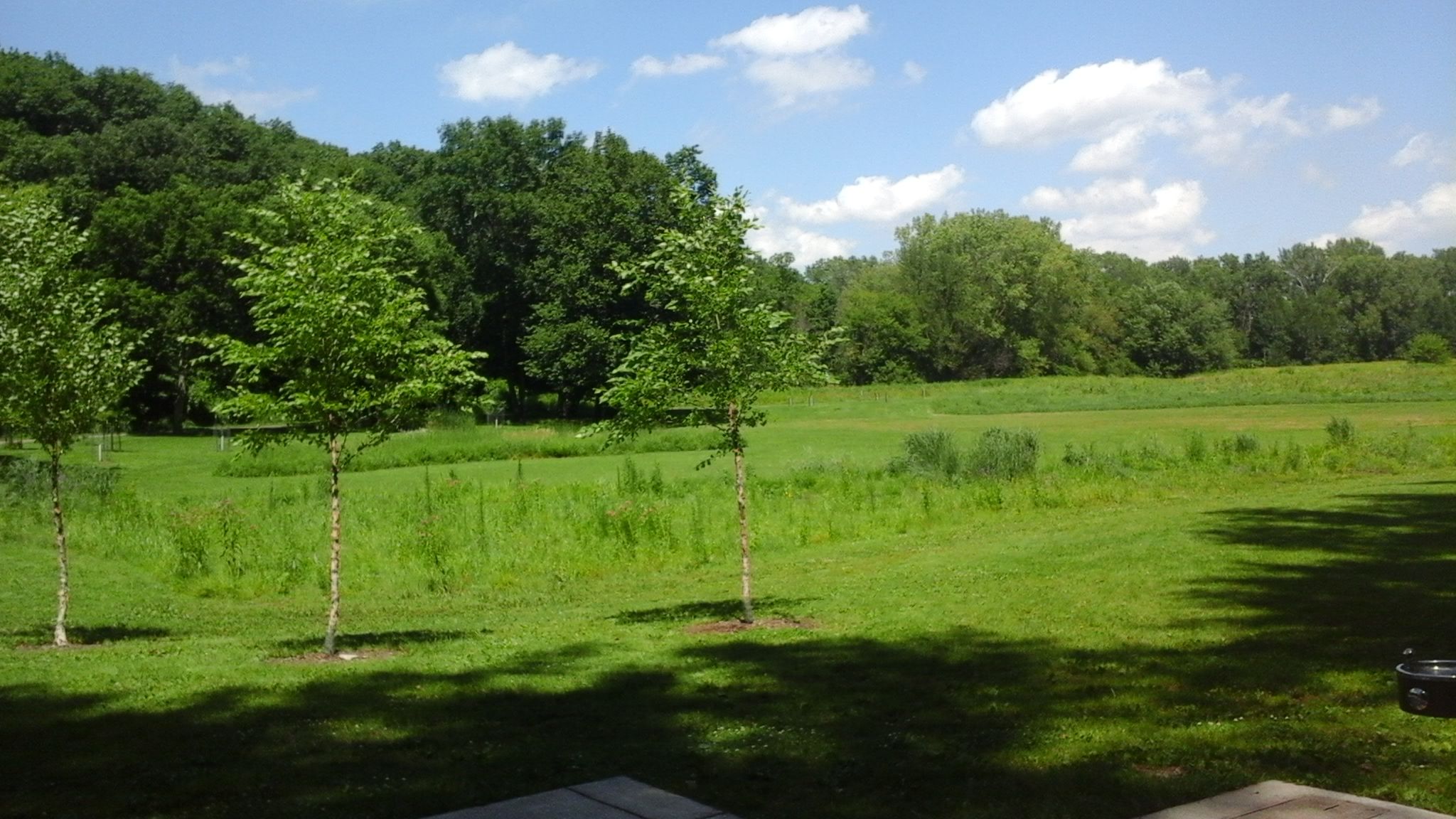 20150717_142555.jpg