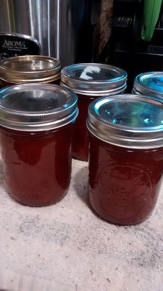 garden gate plum jam 6.jpg