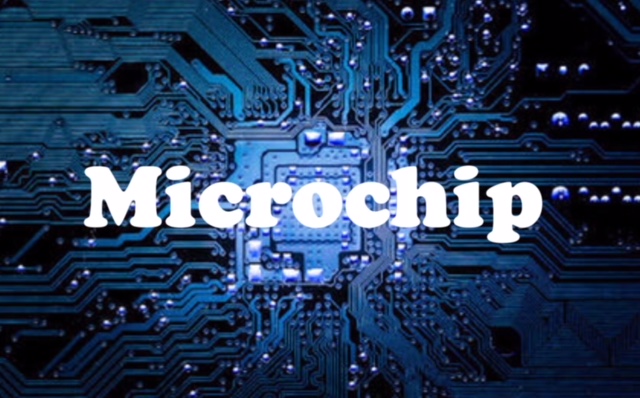 microchip.jpeg