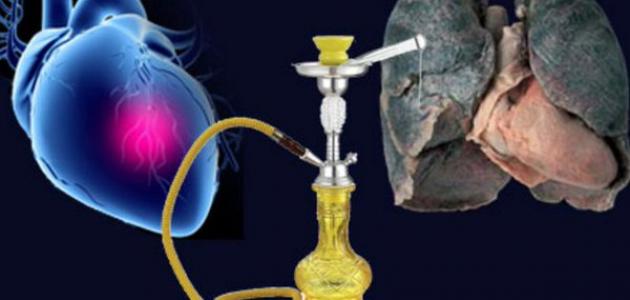 hookah-health-risks-effects-of-hookah-shisha-effects-steemit