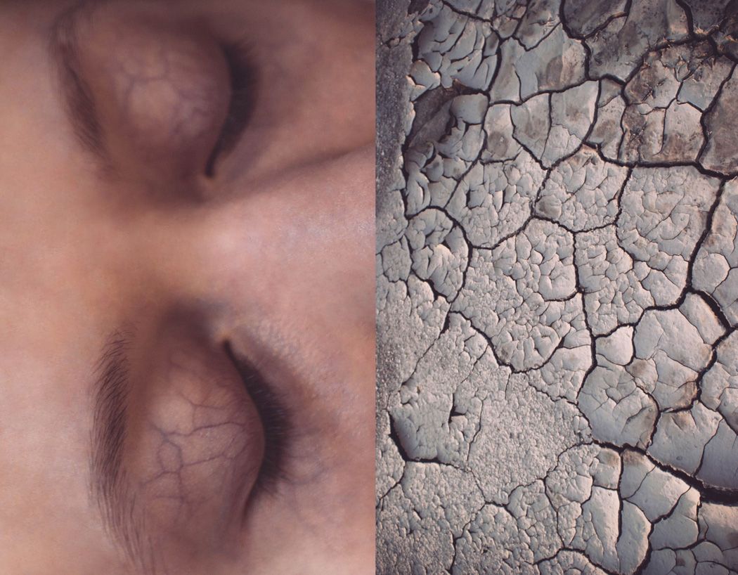 Human-vs-Nature-il-lavoro-di-Agnieszka-Lepka-che-mette-in-relazione-uomini-e-natura-Collater.al-4 (1).jpg