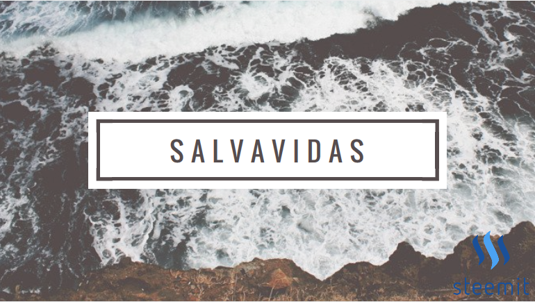 SALVAVI.PNG
