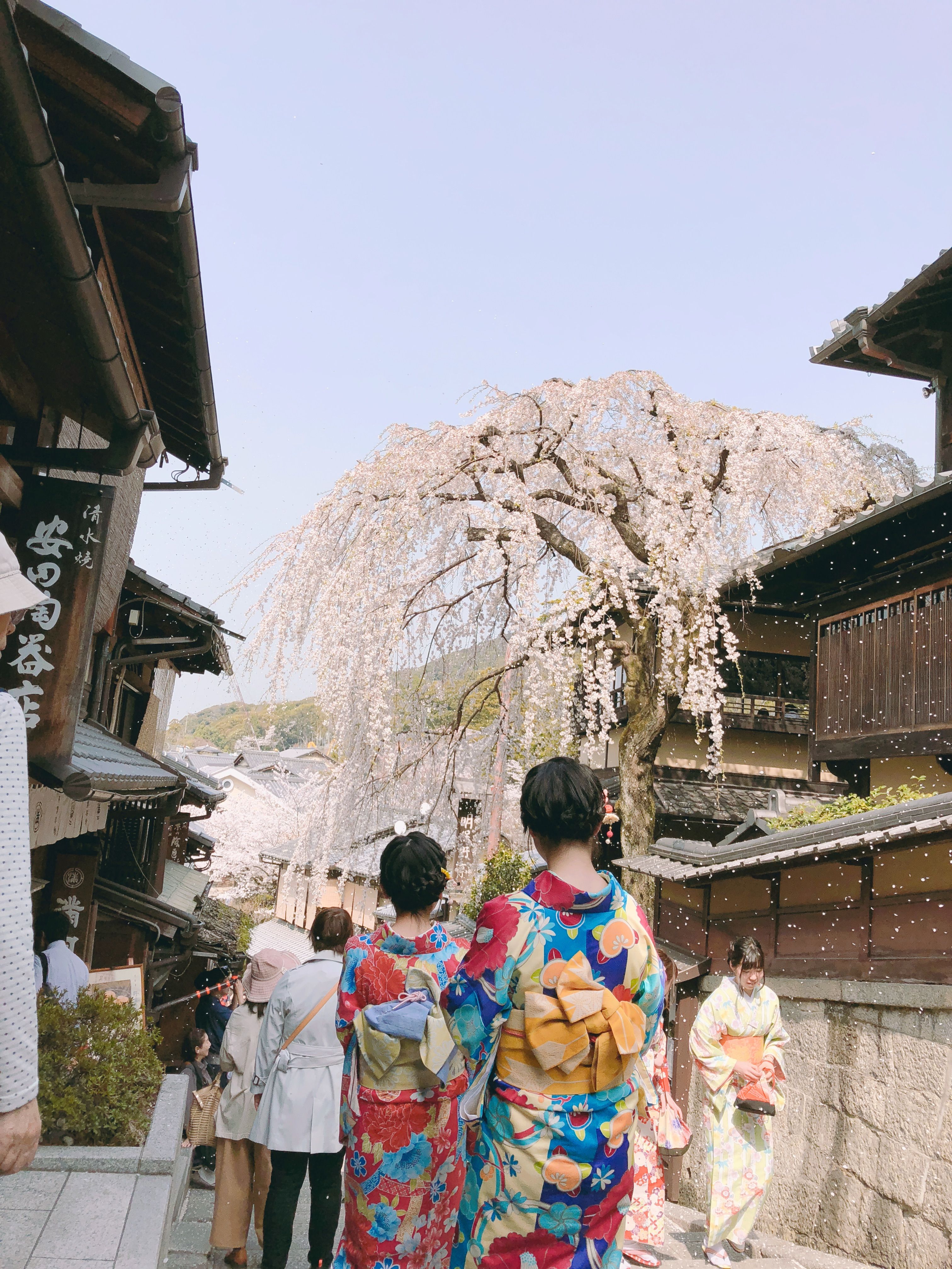 91FF32EC-000F-44E9-AE71-247A9FA74162.jpeg