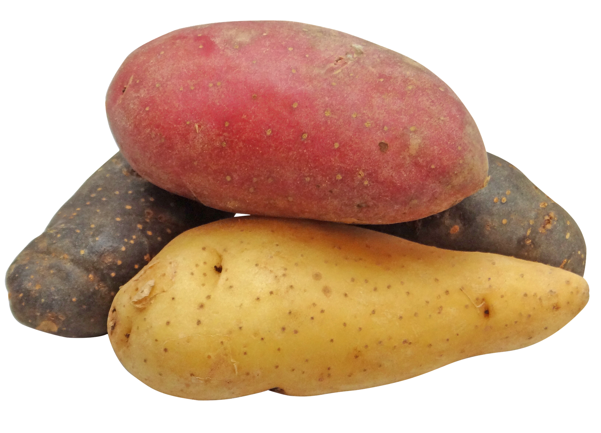 potato-2147541_1920.png