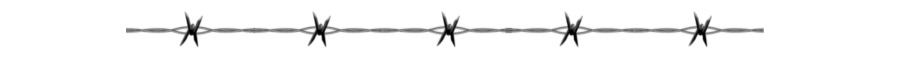 BARBEDWIRE.png