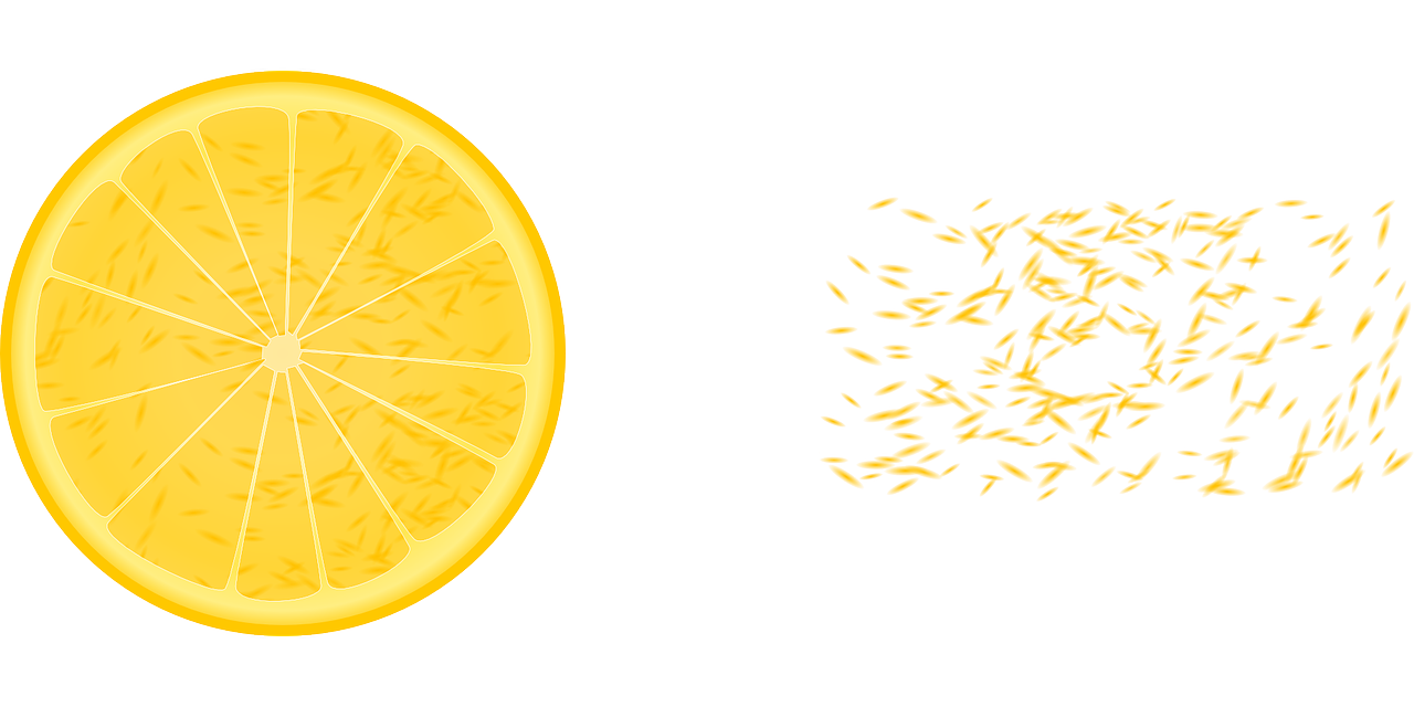 lemon-148119_1280.png