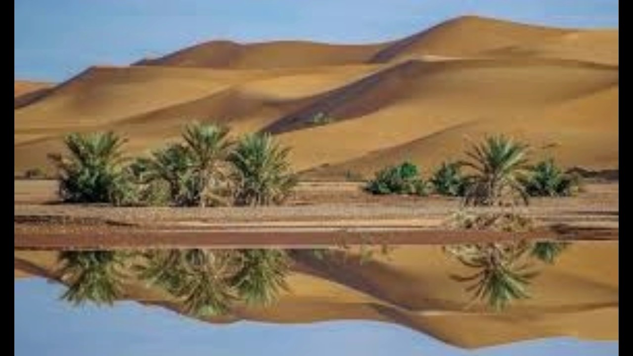 Оазисы создать. Пустыня Караван Оазис. Тунис Оазис шебека. Пустыня сахара Оазис. Пустыня сахара Оазис шебека.