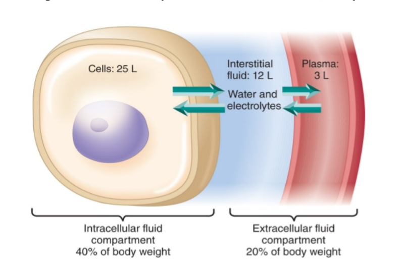 Interstitial-fluid