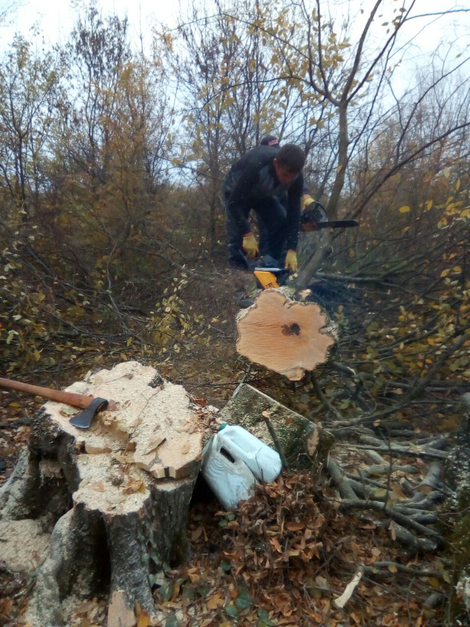 IMG-20171108-WA0019.jpg