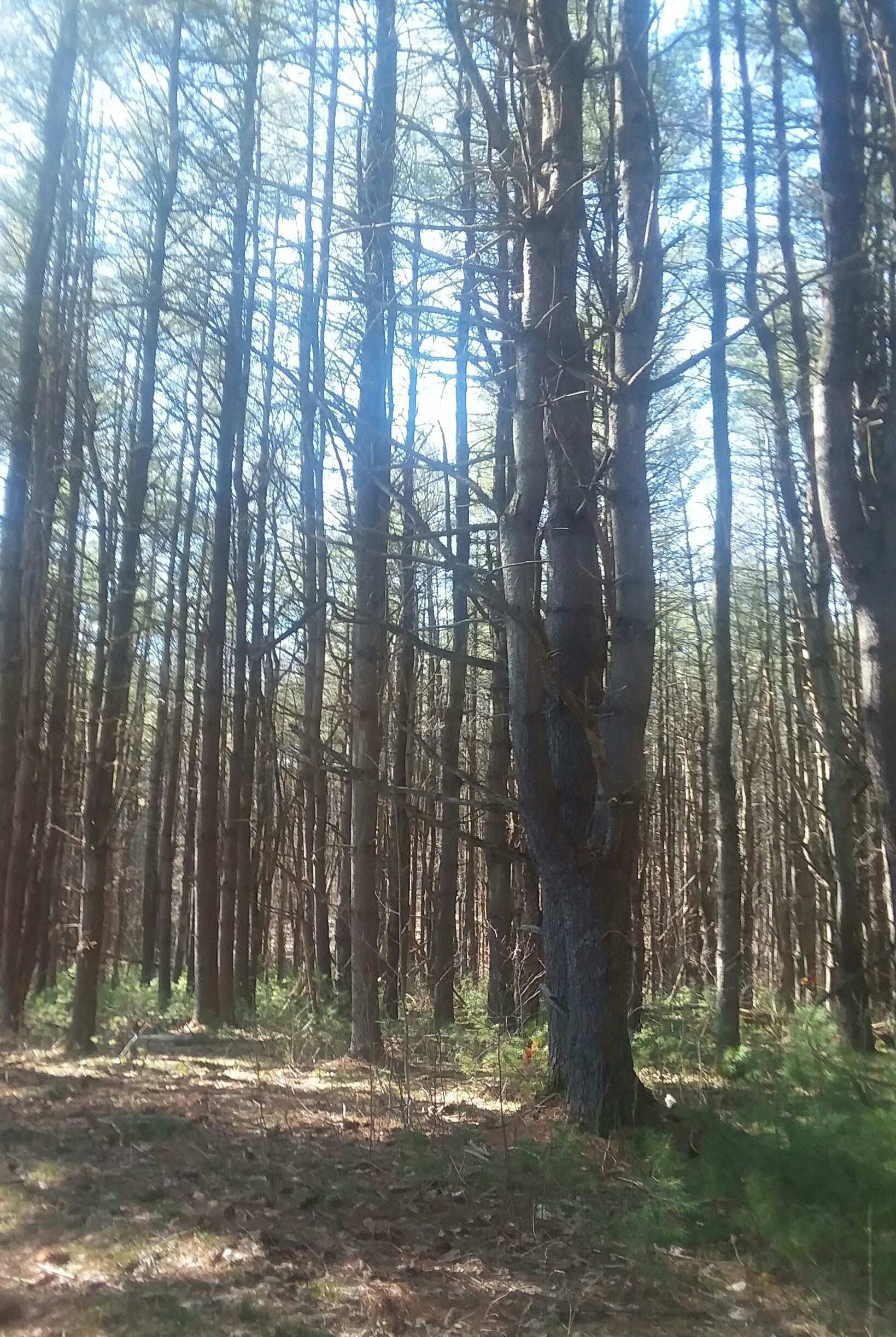 20180421_162957.jpg